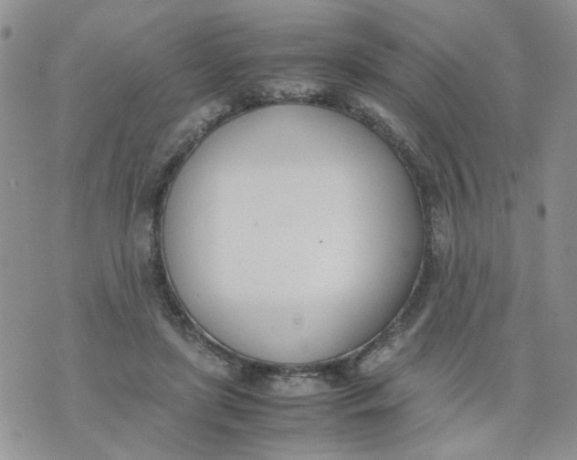 X0000074330451200609152101