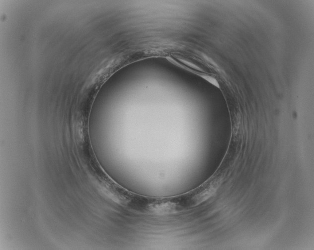 X0000074330452200609152101