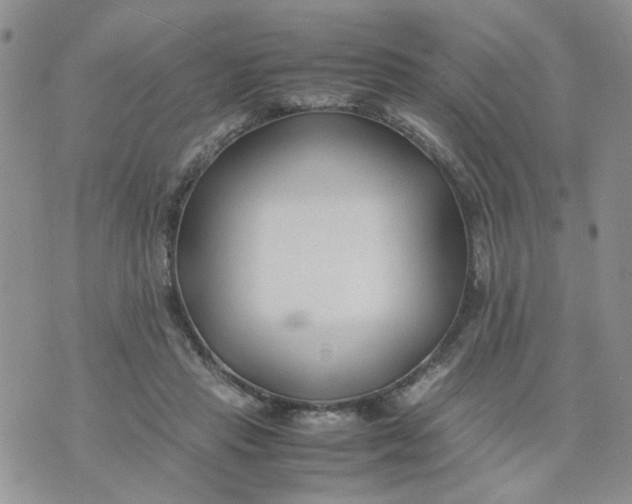 X0000074330453200609152101