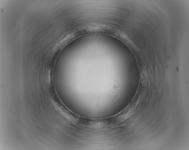 X0000074330454200609152101