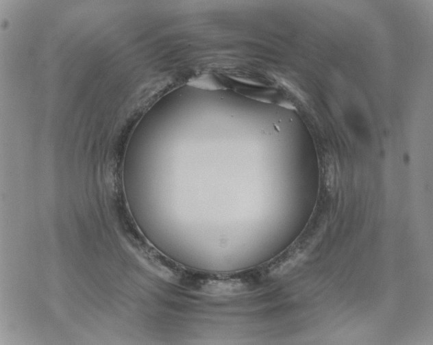 X0000074330455200609152101