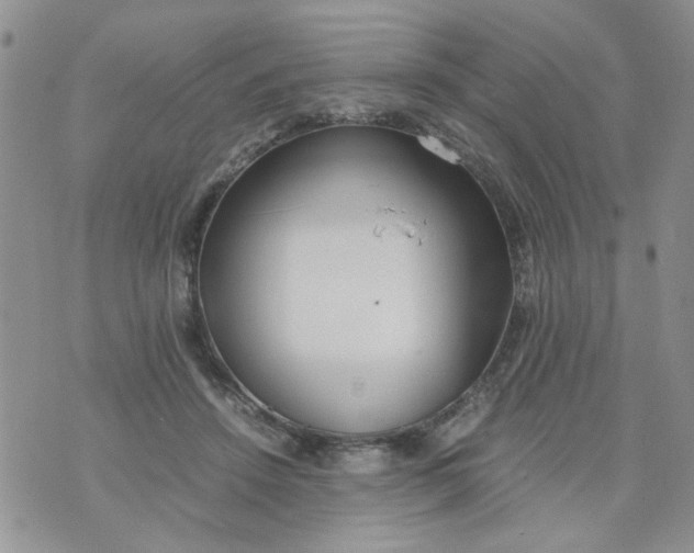 X0000074330456200609152101