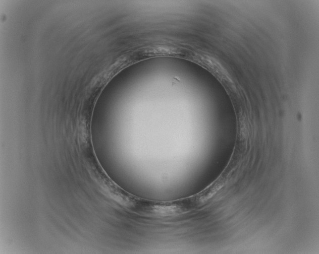 X0000074330457200609152101