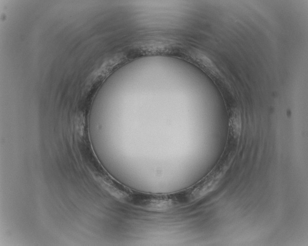 X0000074330458200609152101