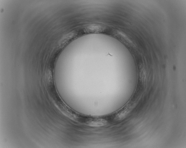 X0000074330459200609152101