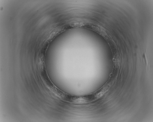 X0000074330460200609152101