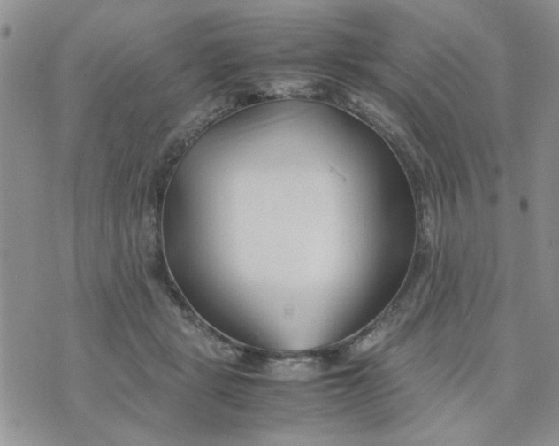 X0000074330461200609152101