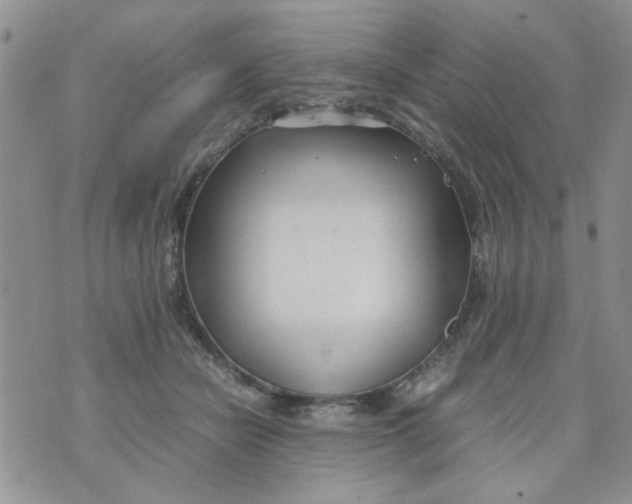 X0000074330462200609152101