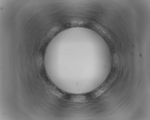 X0000074330463200609152101