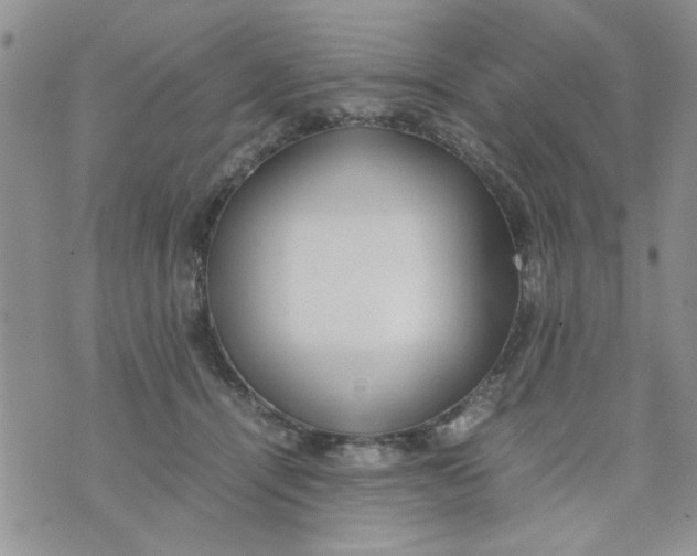 X0000074330464200609152101