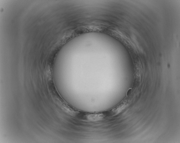 X0000074330465200609152101