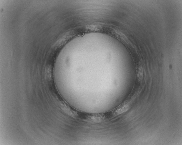 X0000074330466200609152101