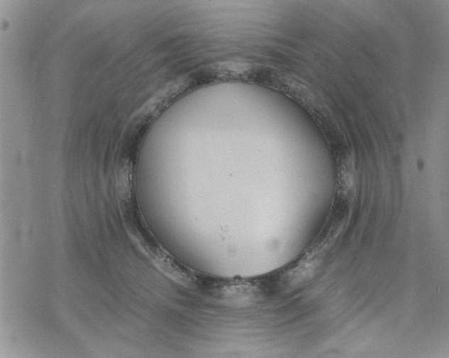 X0000074330468200609152101