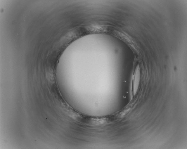 X0000074330469200609152101