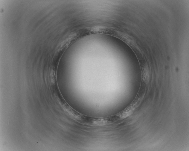 X0000074330470200609152101