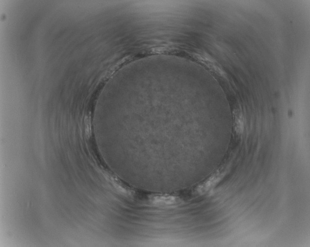 X0000074330471200609152101