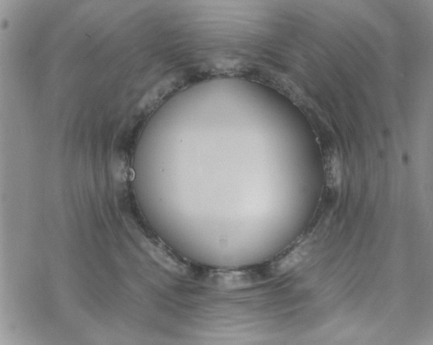 X0000074330472200609152101