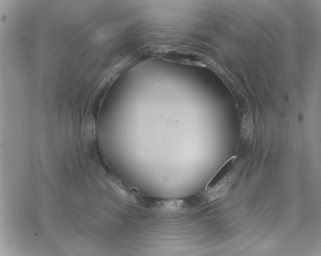 X0000074330474200609152101