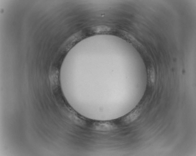 X0000074330475200609152101