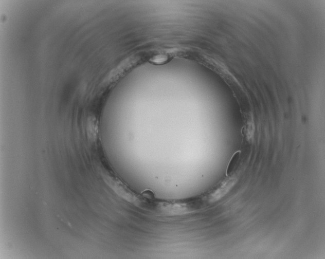 X0000074330476200609152101