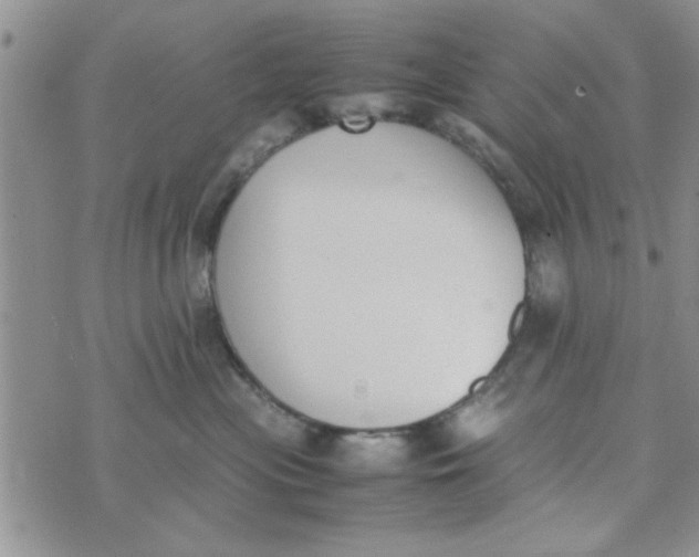 X0000074330477200609152101