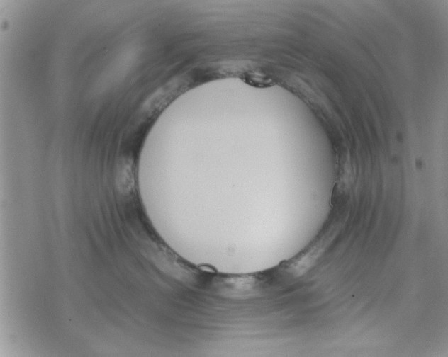 X0000074330478200609152101