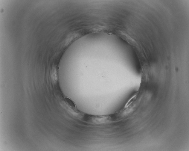 X0000074330479200609152101