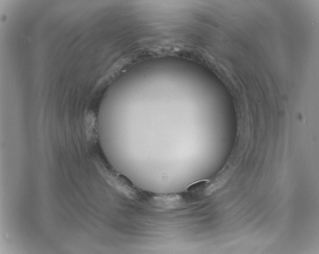 X0000074330480200609152101