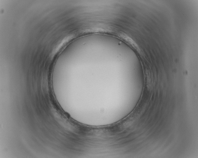 X0000074330482200609152101