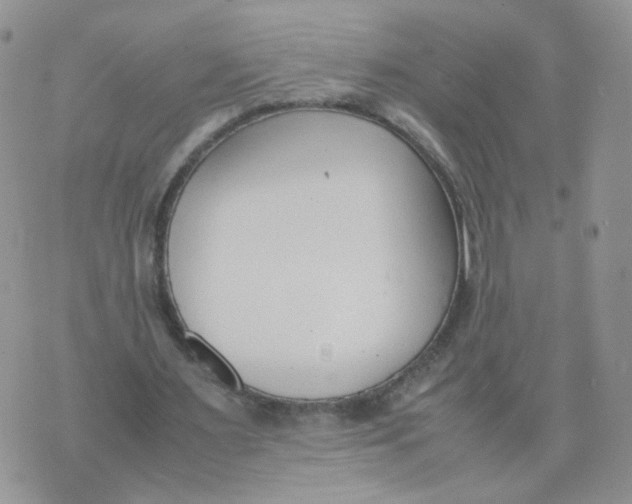 X0000074330483200609152101