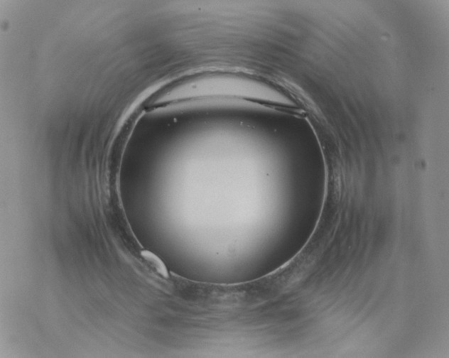 X0000074330484200609152101