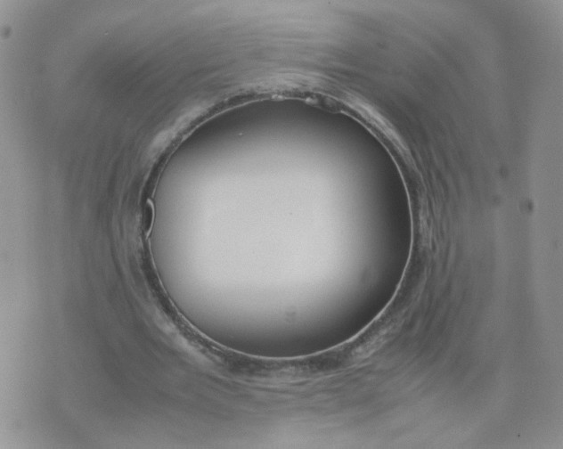 X0000074330485200609152100