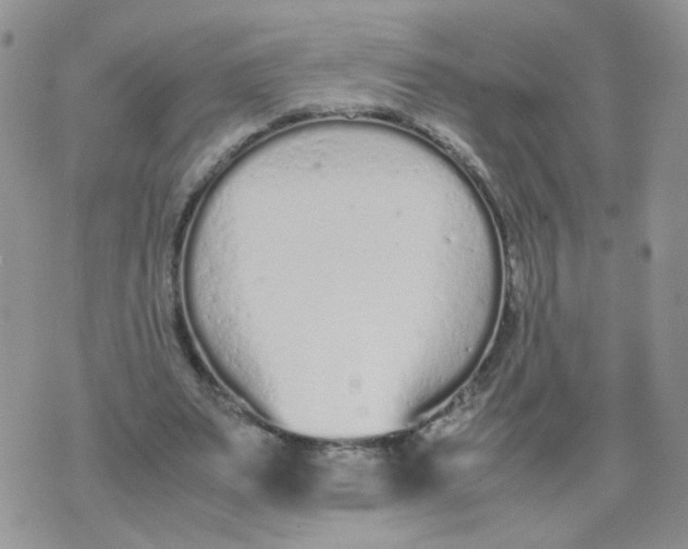 X0000074330487200609152100