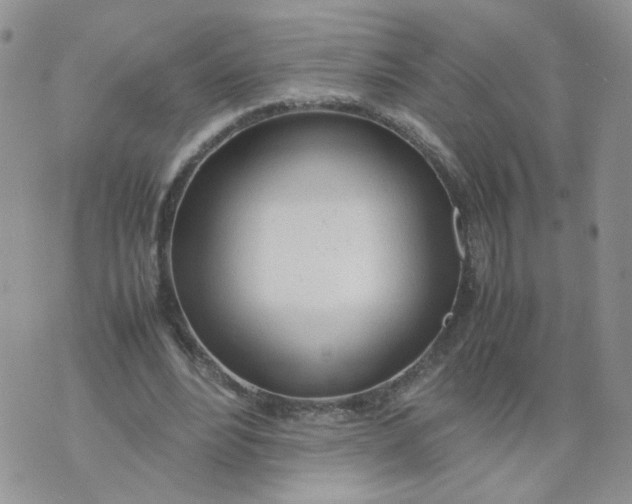 X0000074330488200609152100