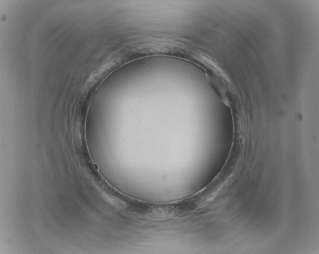 X0000074330489200609152100