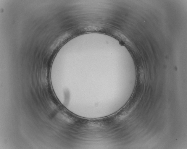 X0000074330490200609152100