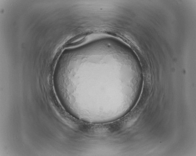 X0000074330491200609152100