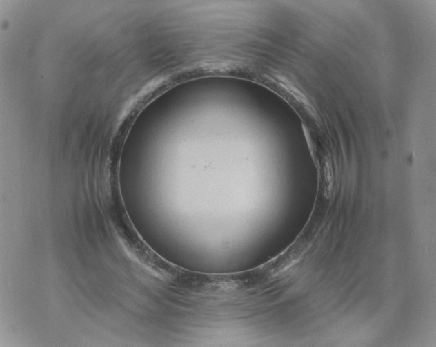 X0000074330492200609152100