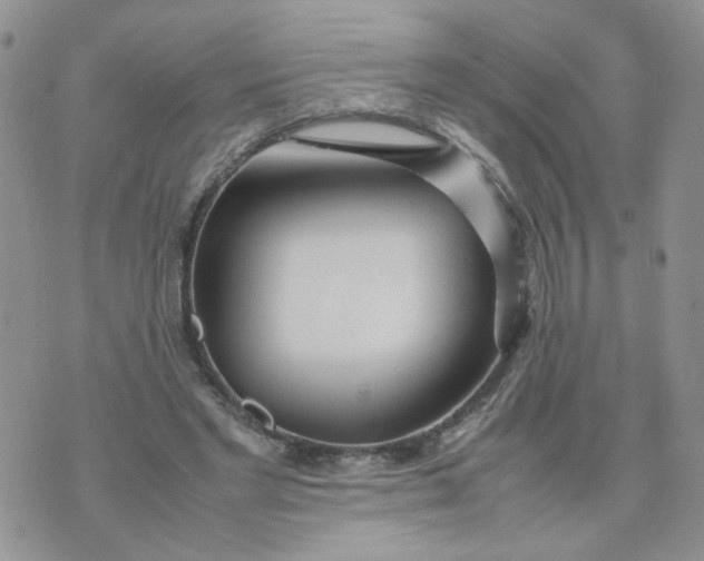 X0000074330493200609152100