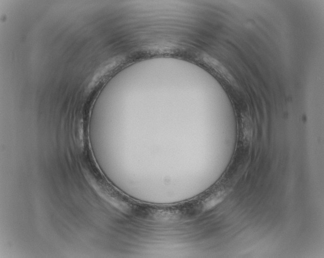 X0000074330494200609152100