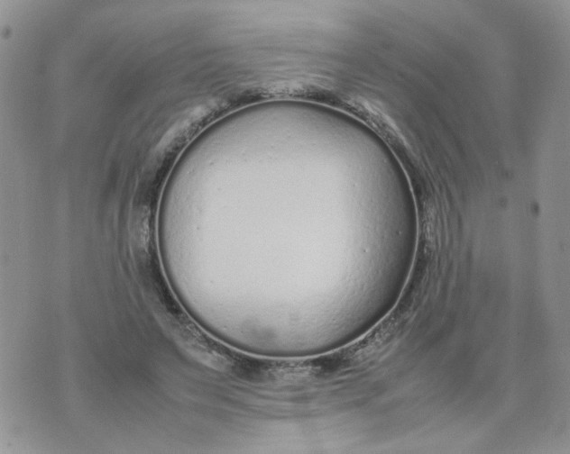 X0000074330495200609152100