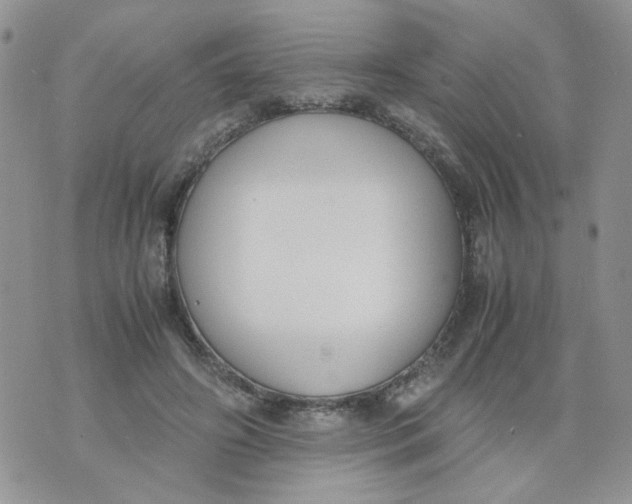 X0000074330498200609152100