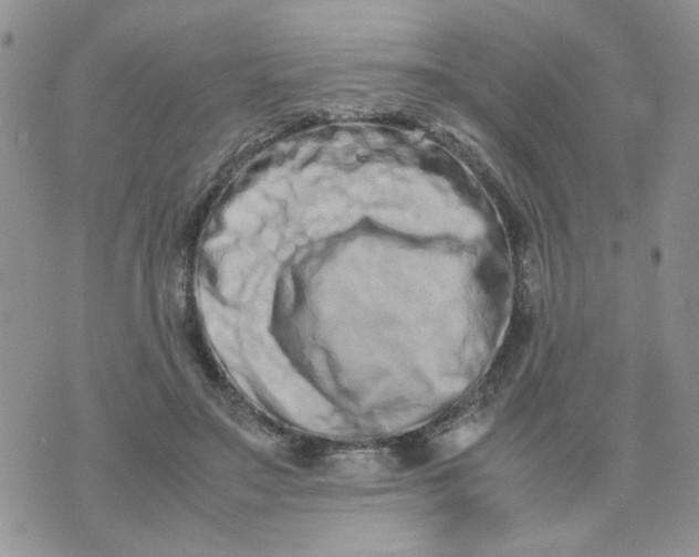 X0000074330499200609152100