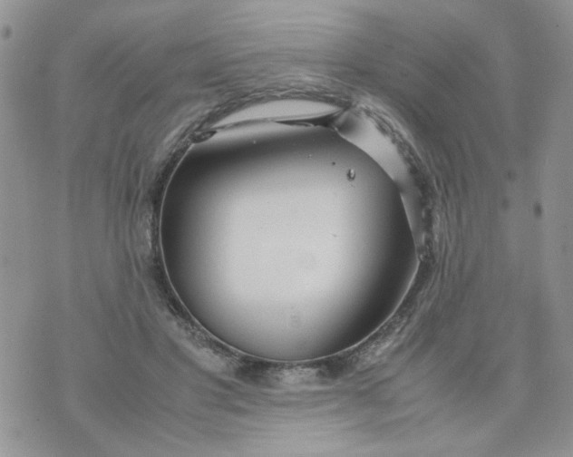 X0000074330501200609152100