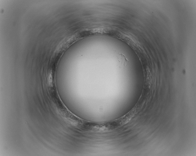 X0000074330502200609152100