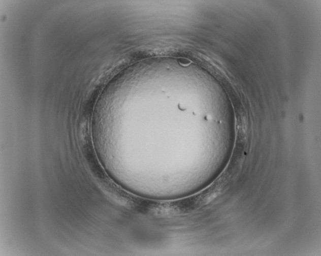 X0000074330503200609152100