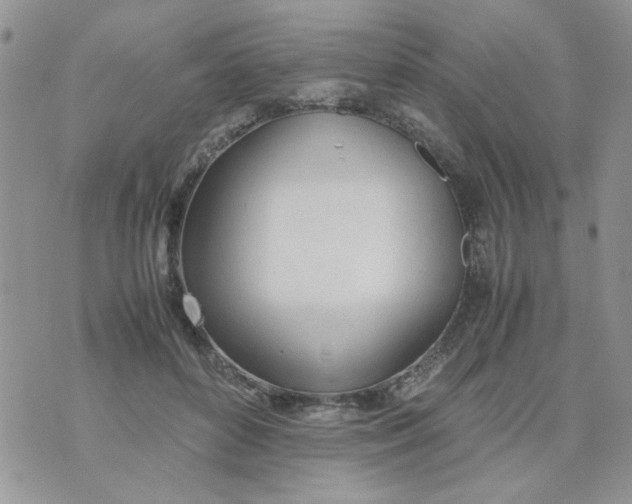 X0000074330504200609152100