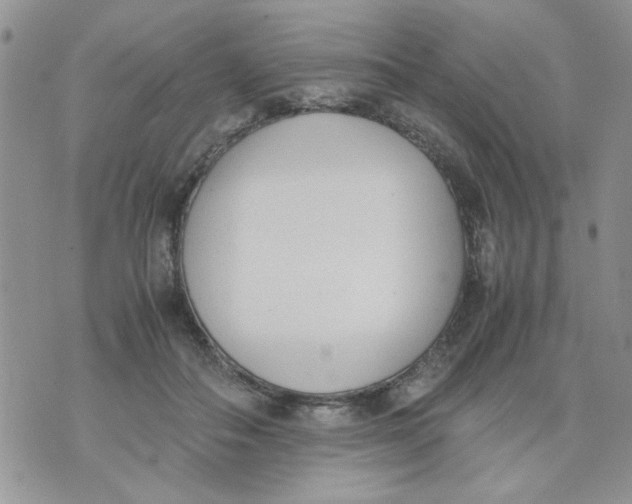 X0000074330506200609152100