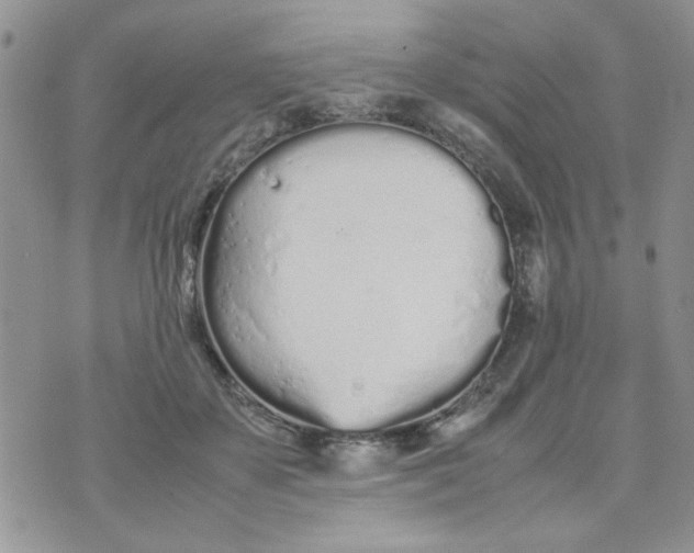 X0000074330507200609152100