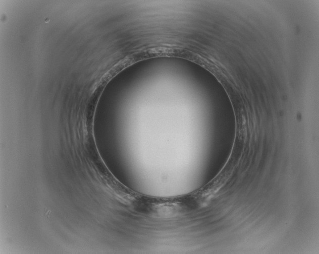 X0000074330508200609152100